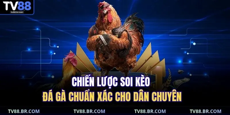 Chiến lược soi kèo đá gà chuẩn xác cho dân chuyên