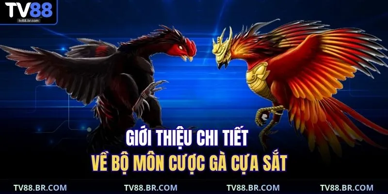 Giới thiệu chi tiết về bộ môn cược gà cựa sắt