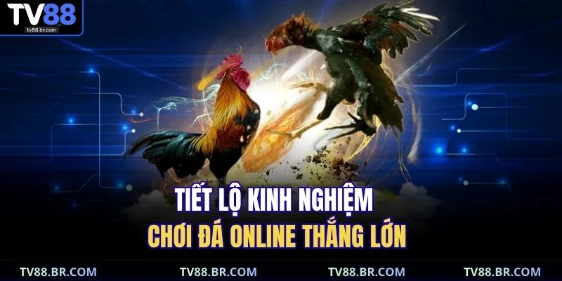 Tiết lộ kinh nghiệm chơi đá online thắng lớn