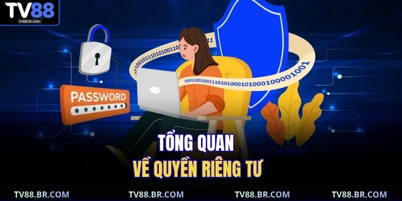 Quyền riêng tư 1 Tổng quan về quyền riêng tư
